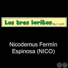 LOS TRES LORITOS - Historieta Infantil - Por NICO  Nicodemus Fermn Espinosa - Ao 2020